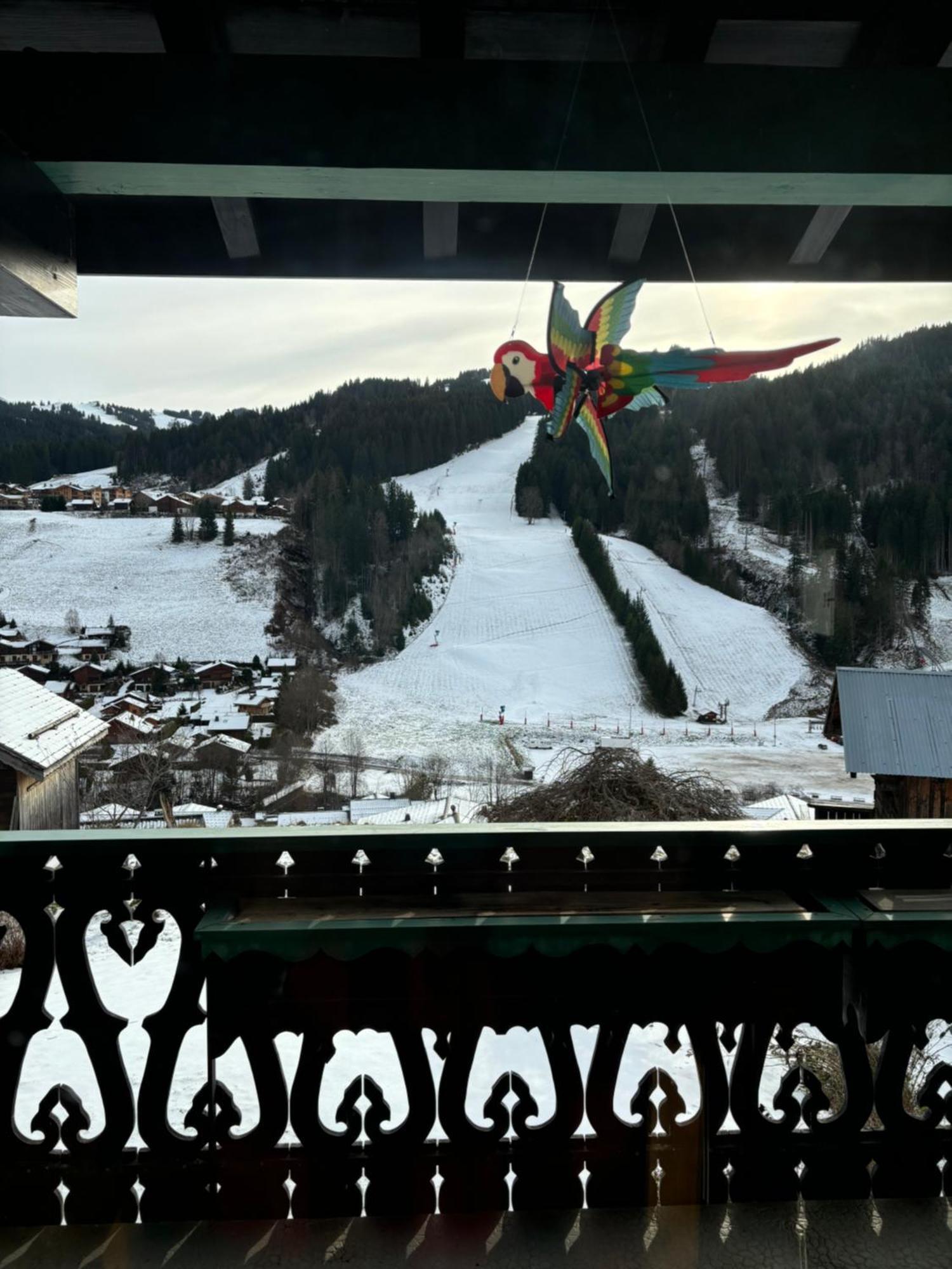 Chalet Fleur Des Alpes Les Gets Esterno foto